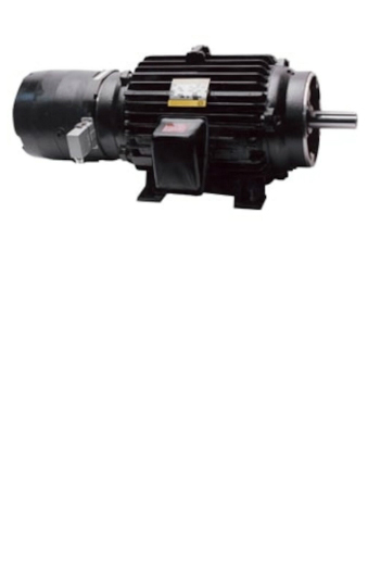 Black Max Inverter Duty Motor